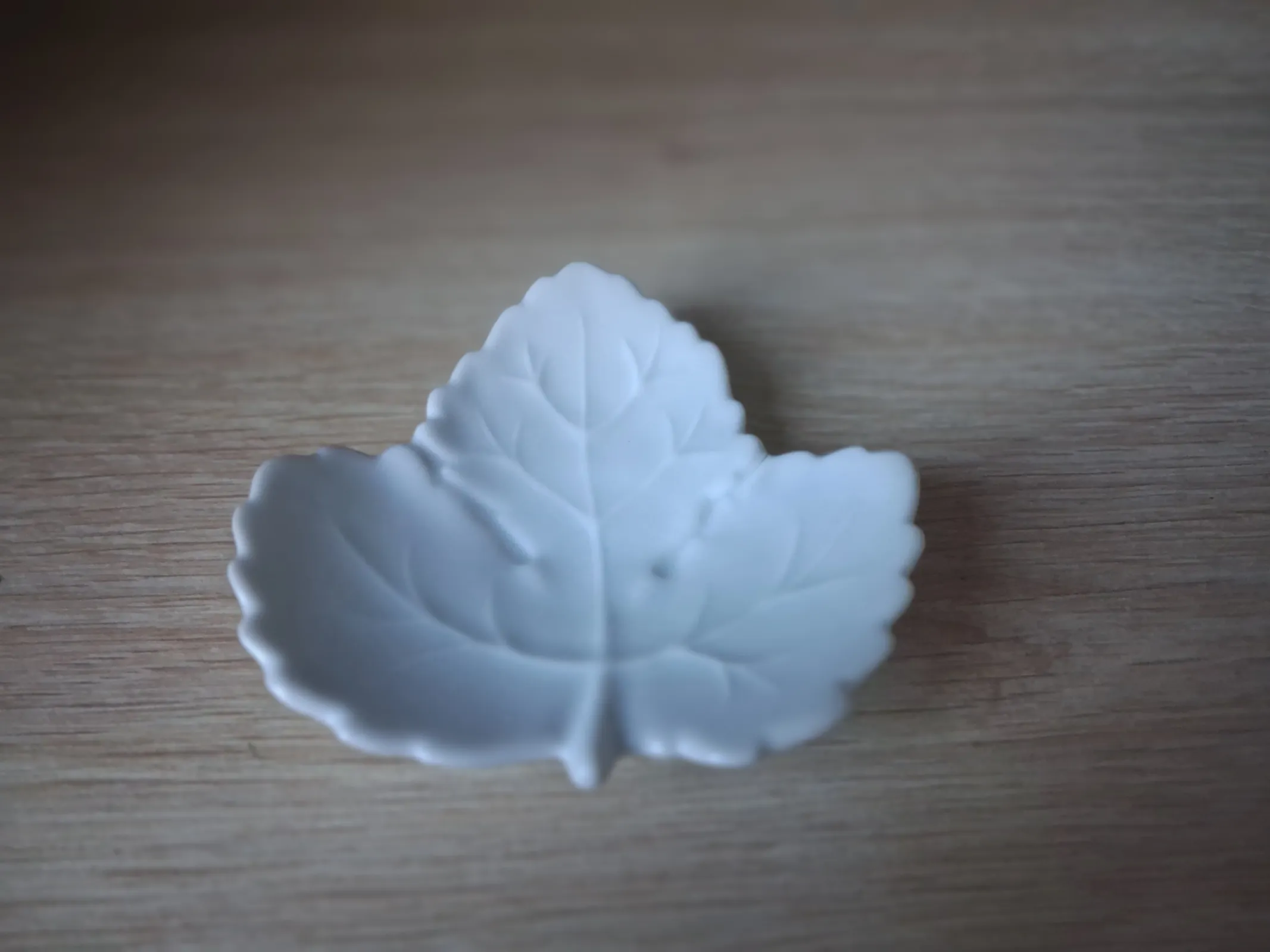 Ekskluzywny komplet białej porcelany Ludwigsburg – Liście i bombonierka