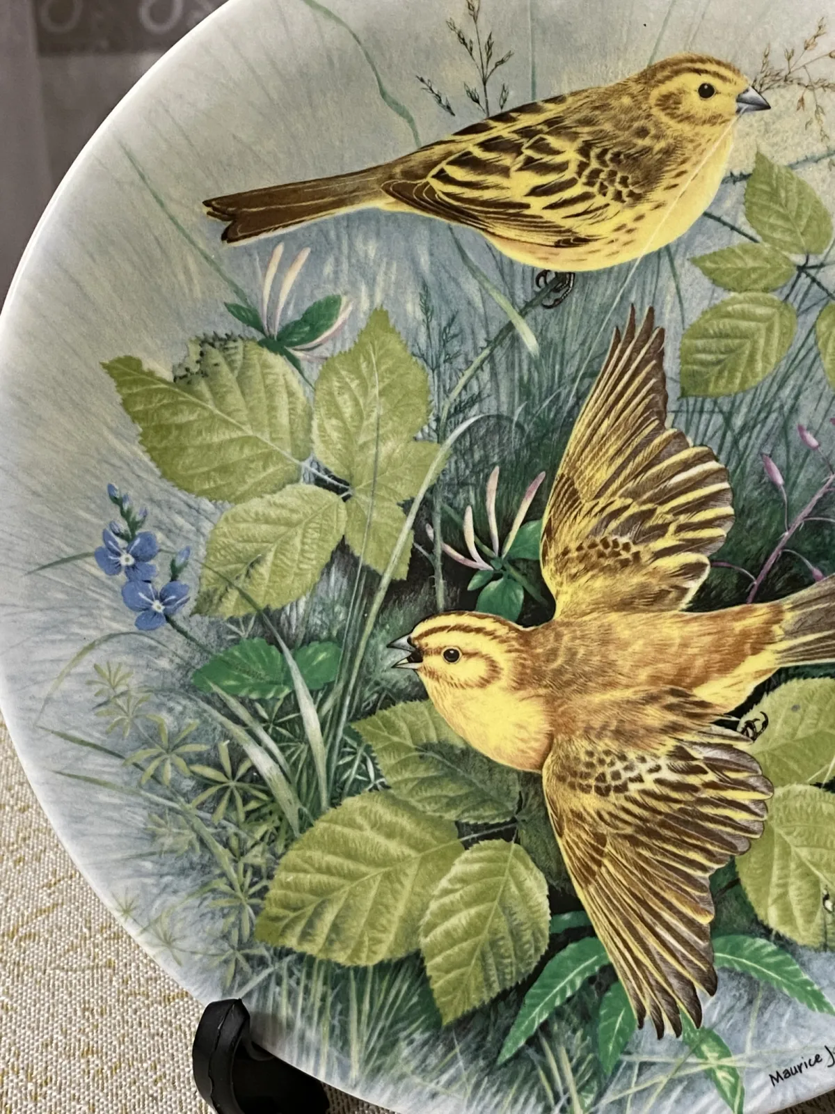 Talerz kolekcjonerski -PTAKI ŻYWOPŁOTU -ROYAL DOULTON