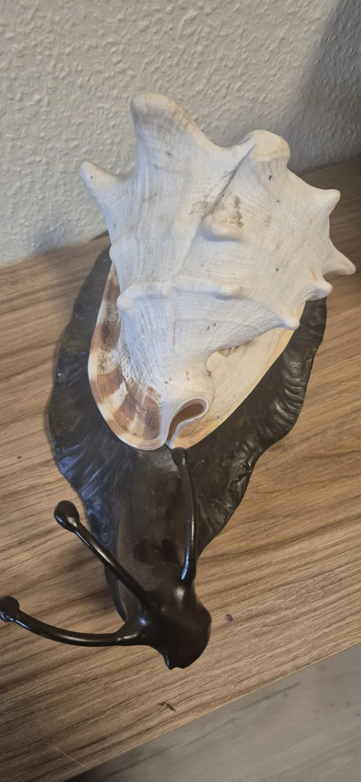 Lampa Ślimak Brąz Muszla Cassis Cornuta Secesja Gabinet Osobliwości Art Nouveau