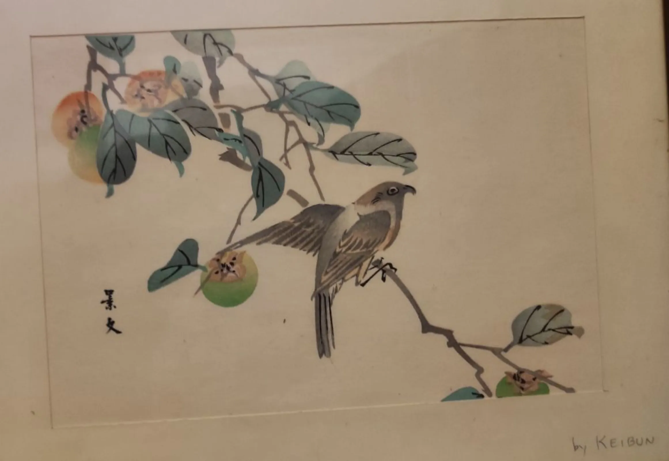 Japonia Matsumura Keibun (1779-1843) Ptaszki na gałęzi Zestaw 3 drzeworytów