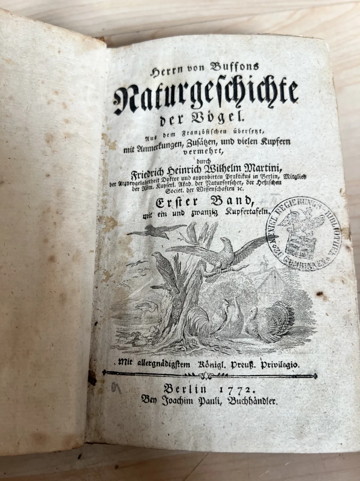 1772 Buffon Naturgeschichte der Vögel – antyk XVIII w. ilustracje ptaków