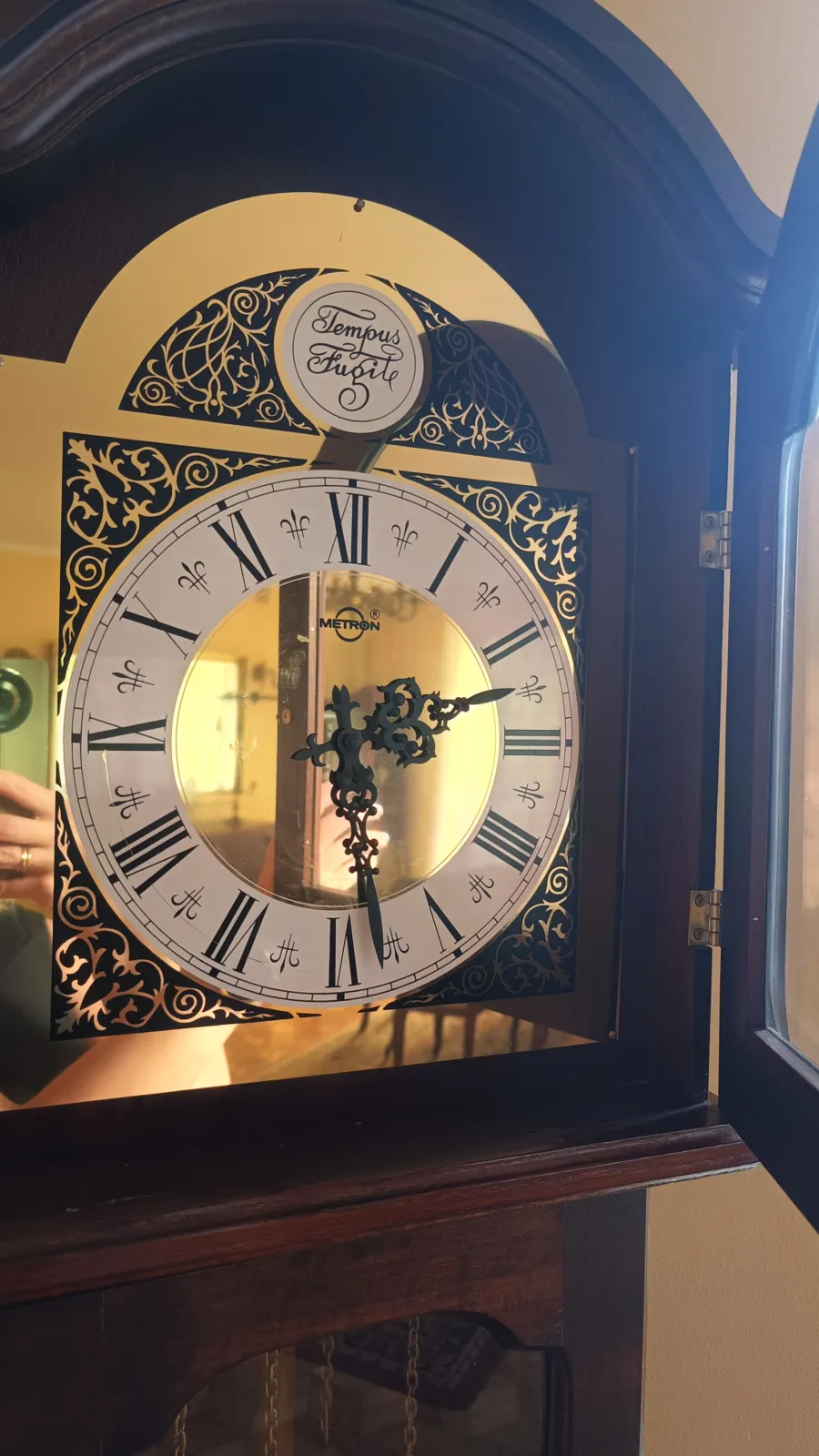 Zegar stojący Tempus Fugit retro