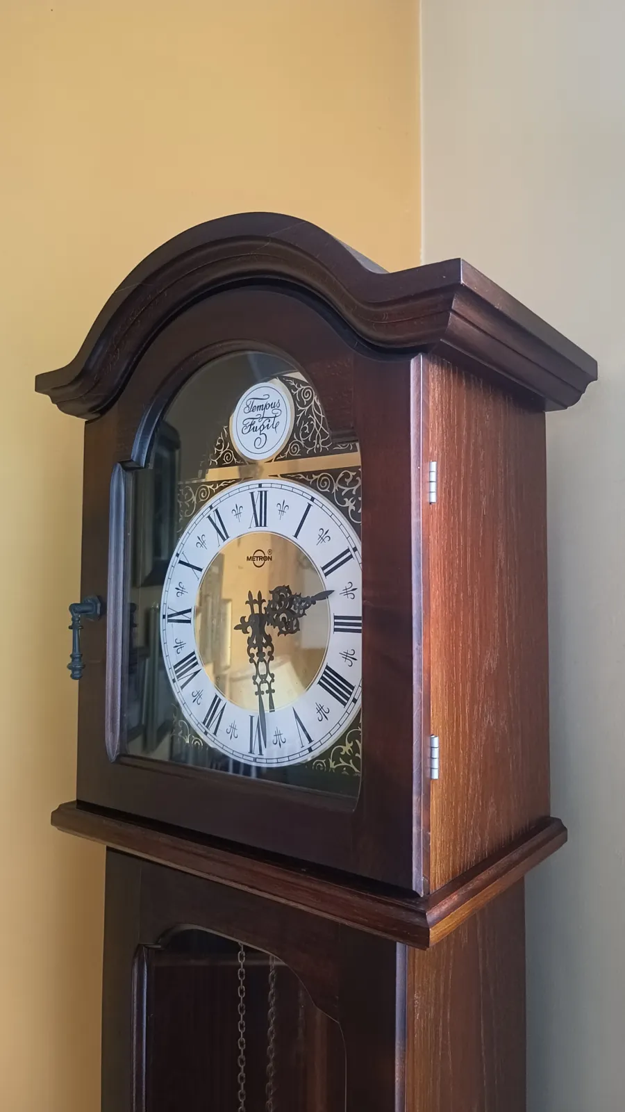 Zegar stojący Tempus Fugit retro