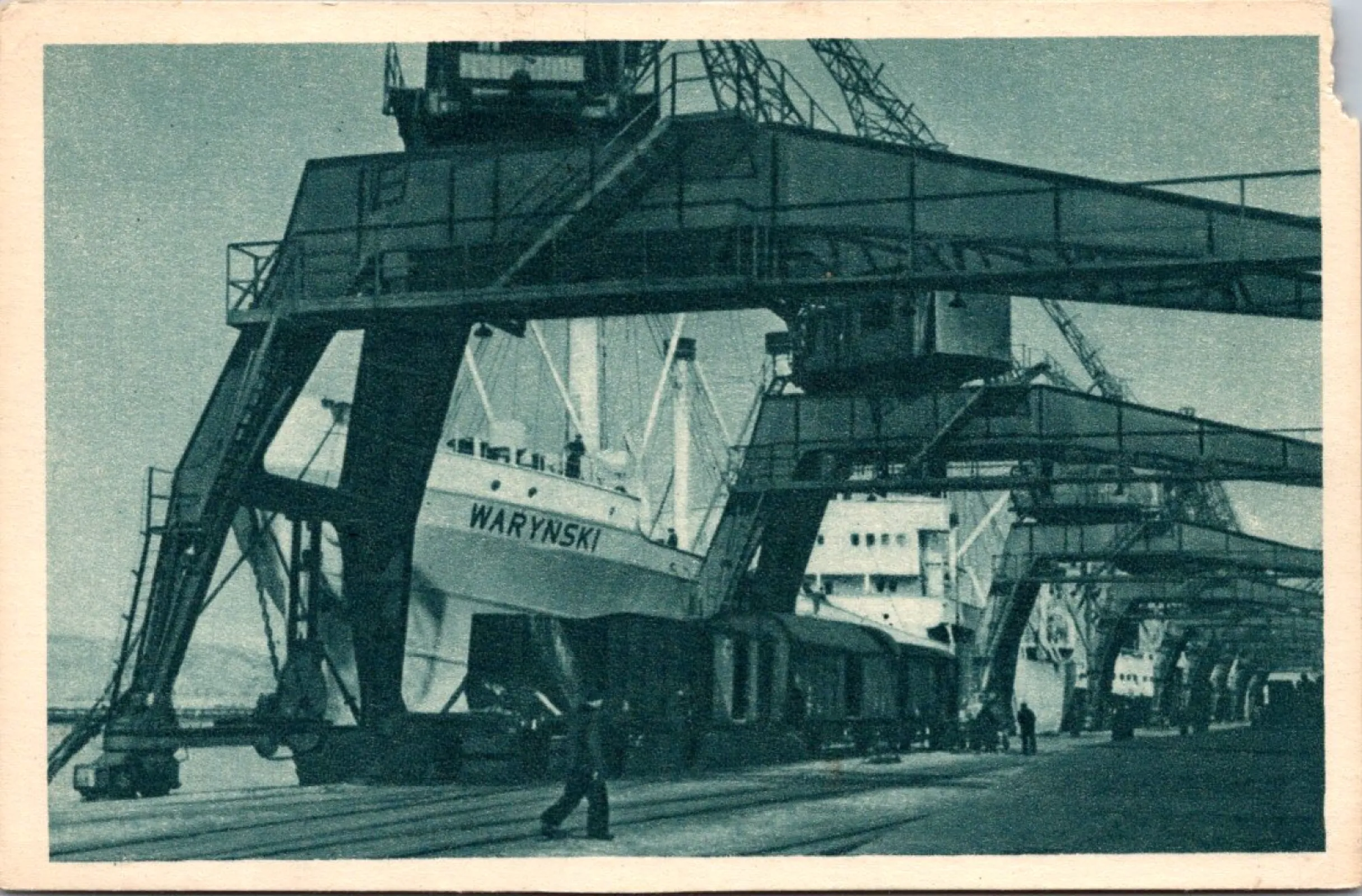 Pocztówka/ Marynistyka/ M/s Waryński/ Gdynia/ Polska/ ok. lata 50