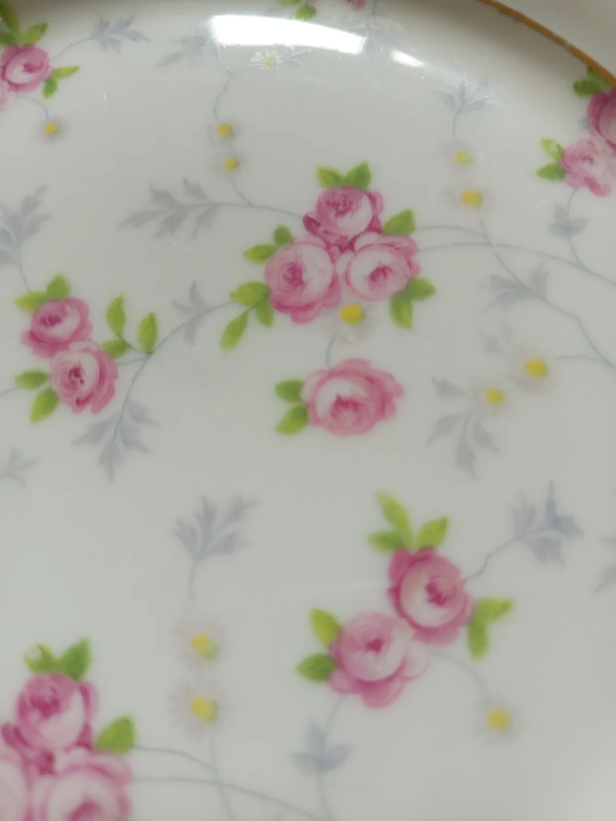 Dwa talerze przedwojenna porcelana Giesche