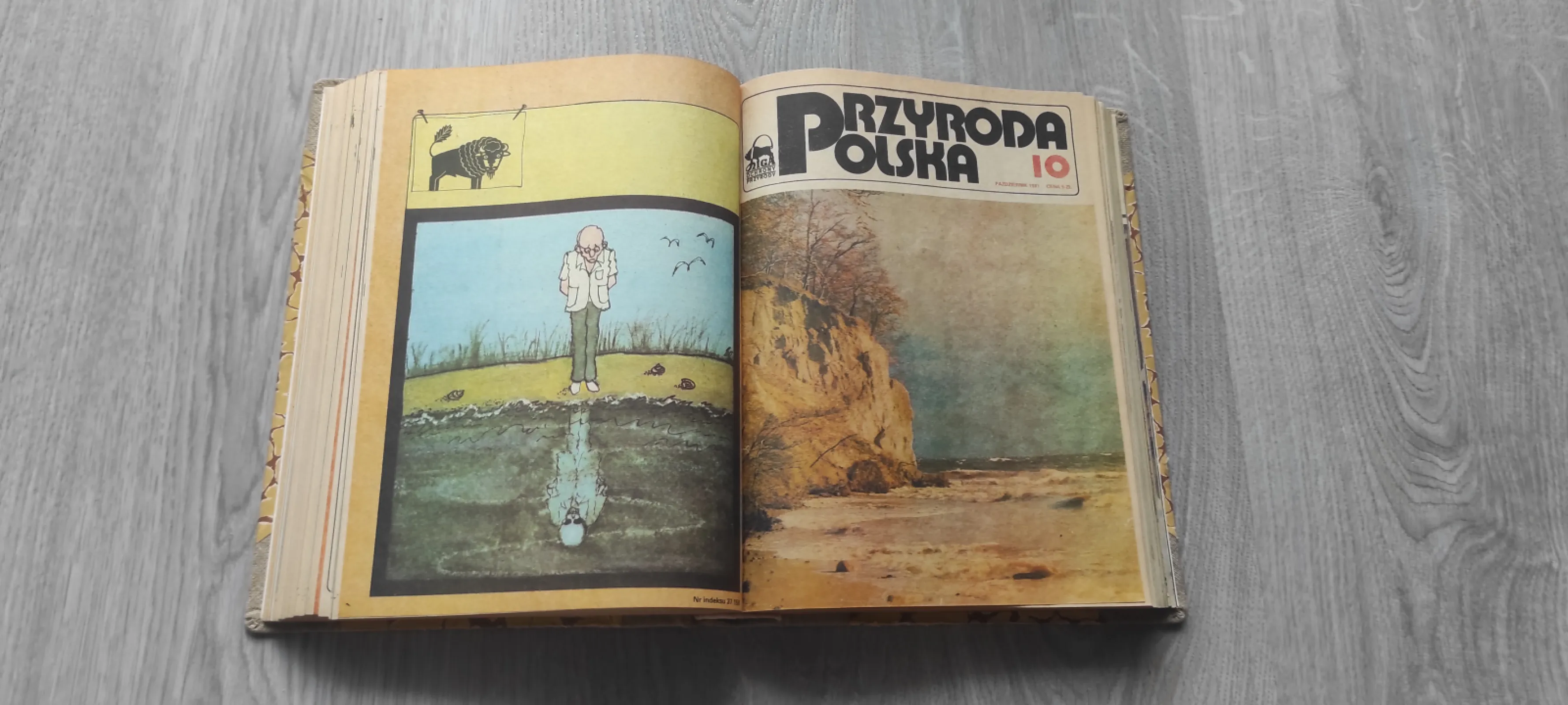Oprawione 2 roczniki miesięcznika "Przyroda polska" 1981 i 1982