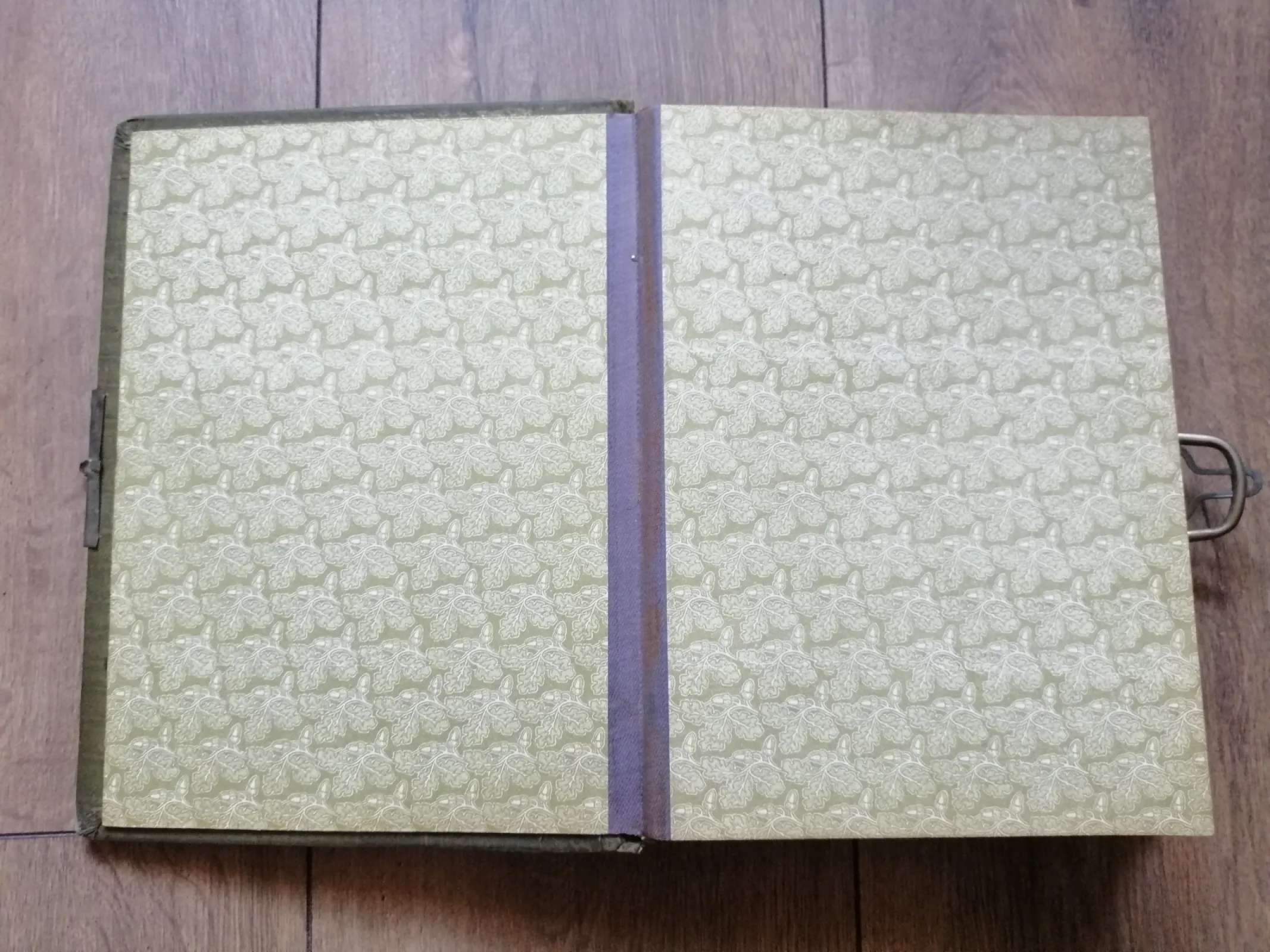Secesyjny album na zdjęcia.